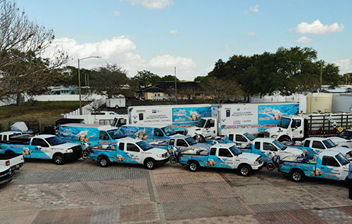 Family Service Association Of Bucks County Service F Mercedes